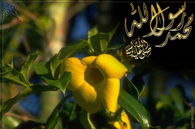 Allah